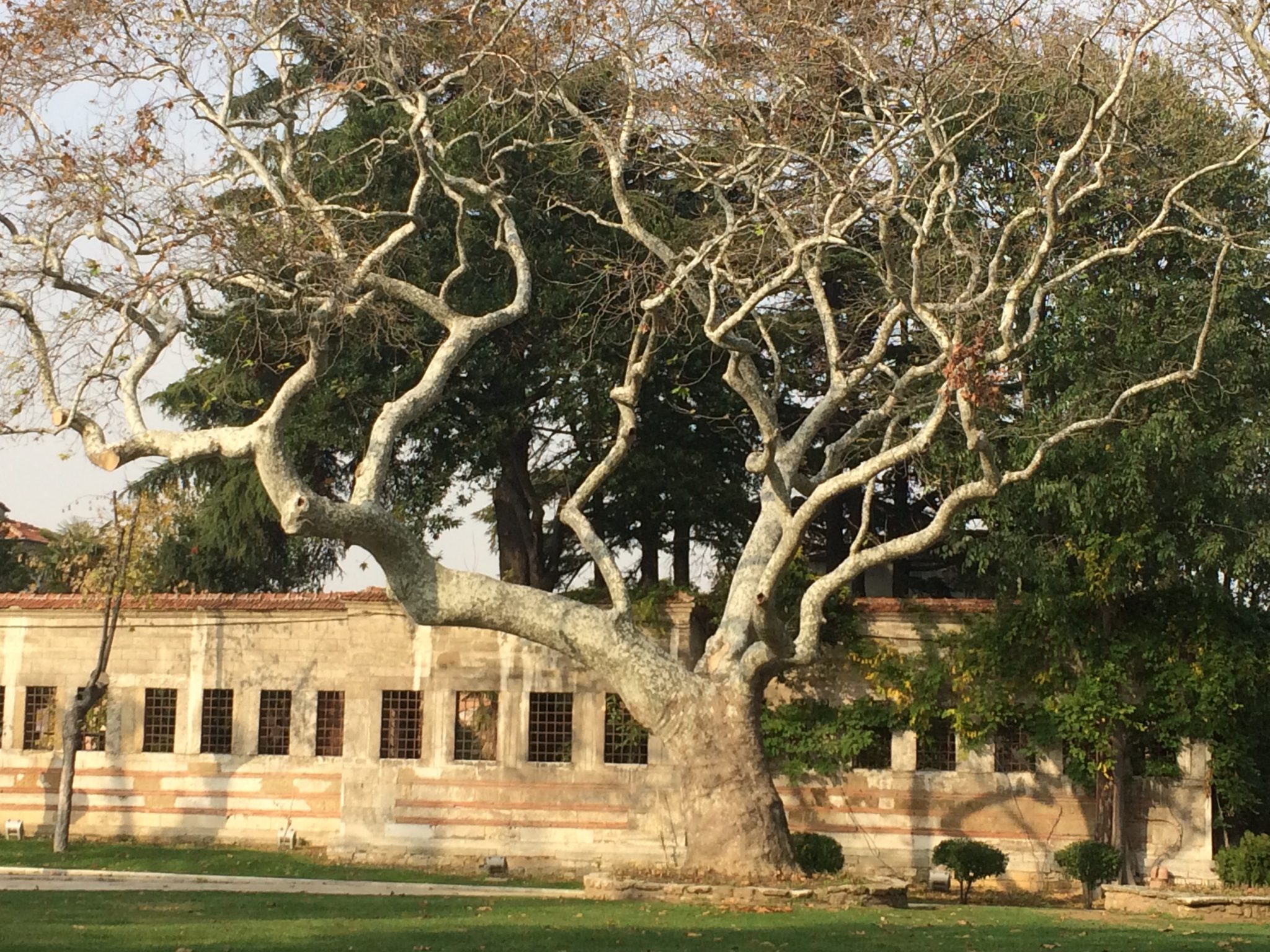 Reflecting on Two Years Walking in Asia