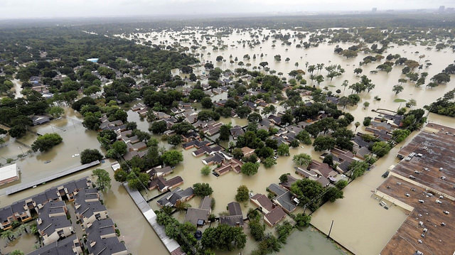 Rethinking Cities as Vulnerable Ecosystems