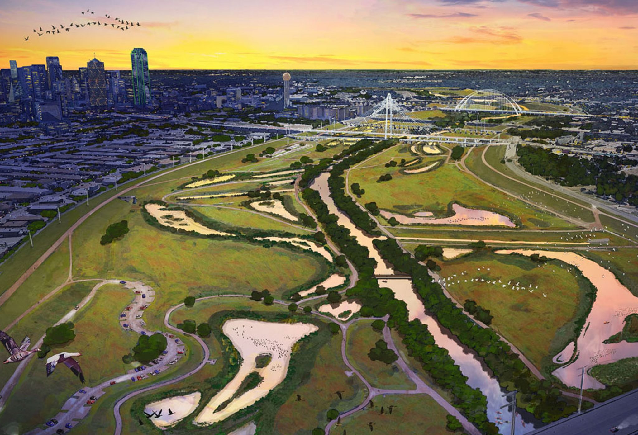 Three Case Studies in Re-wilding:  Models and Methods for Other Cities to Consider