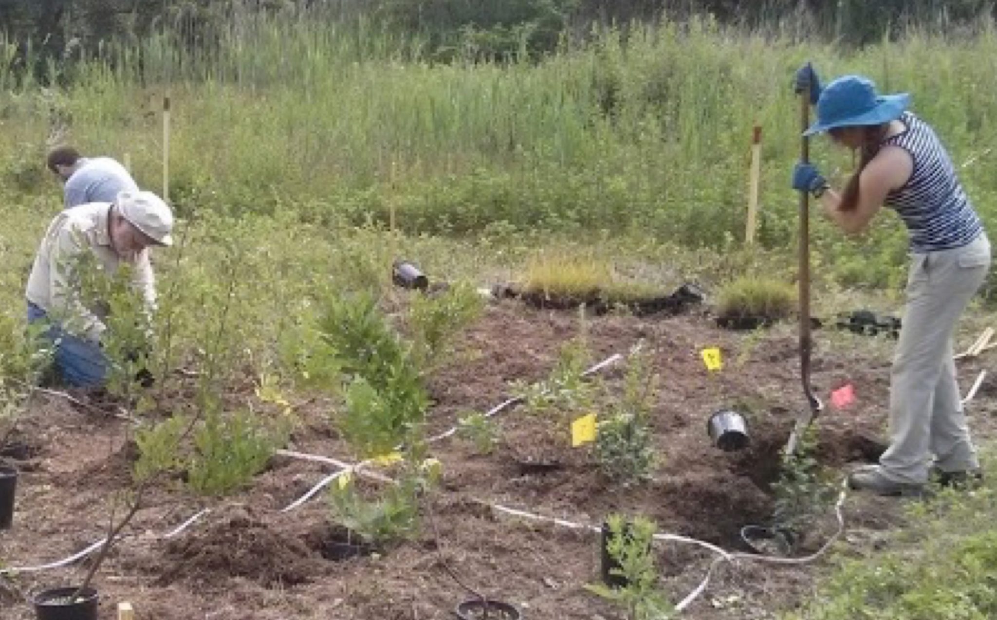 The Seven Habits of Highly Effective People Who Want to Do Ecological Restoration