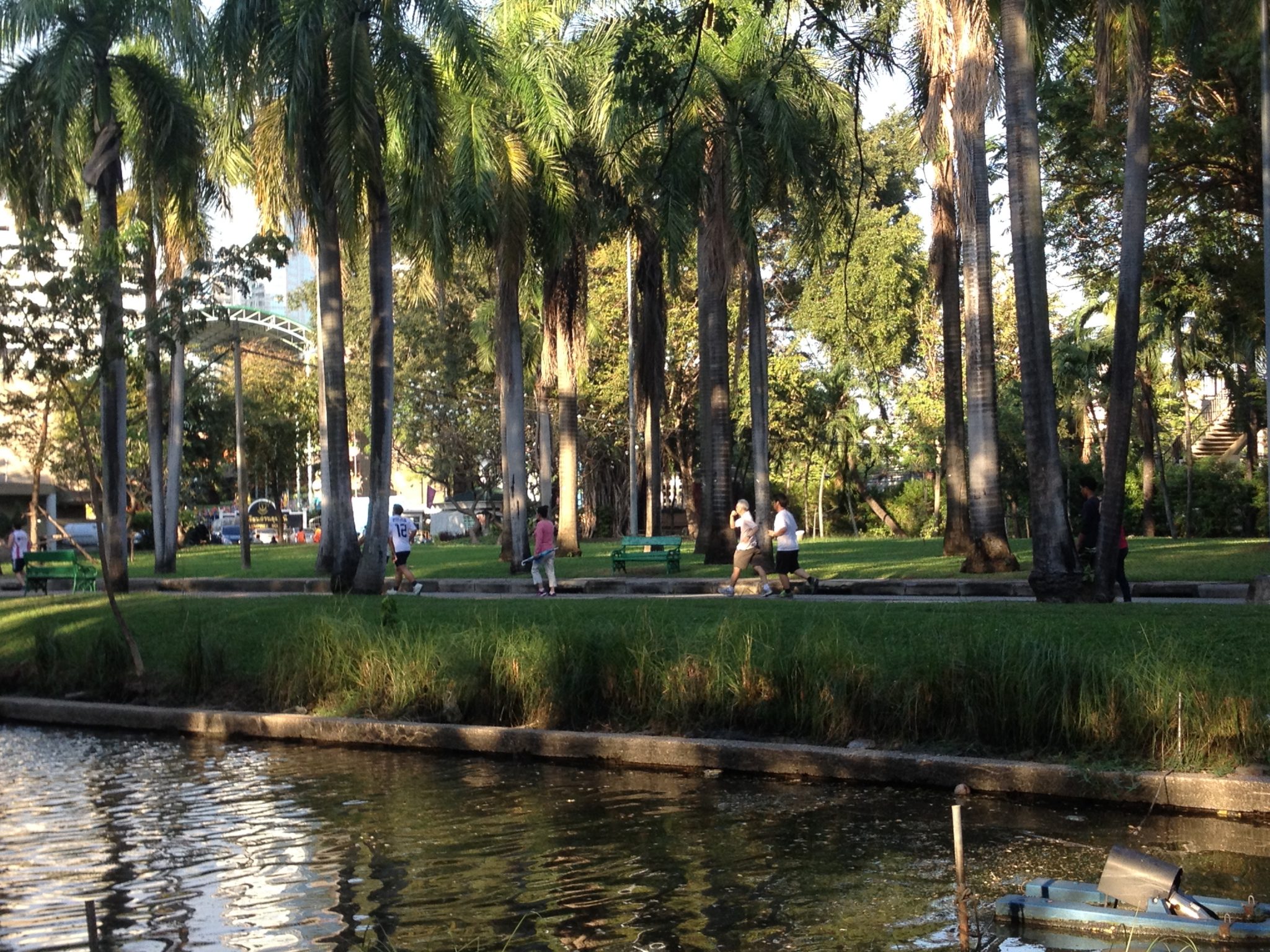 Photo Essay: Finding Refuge in City Parks