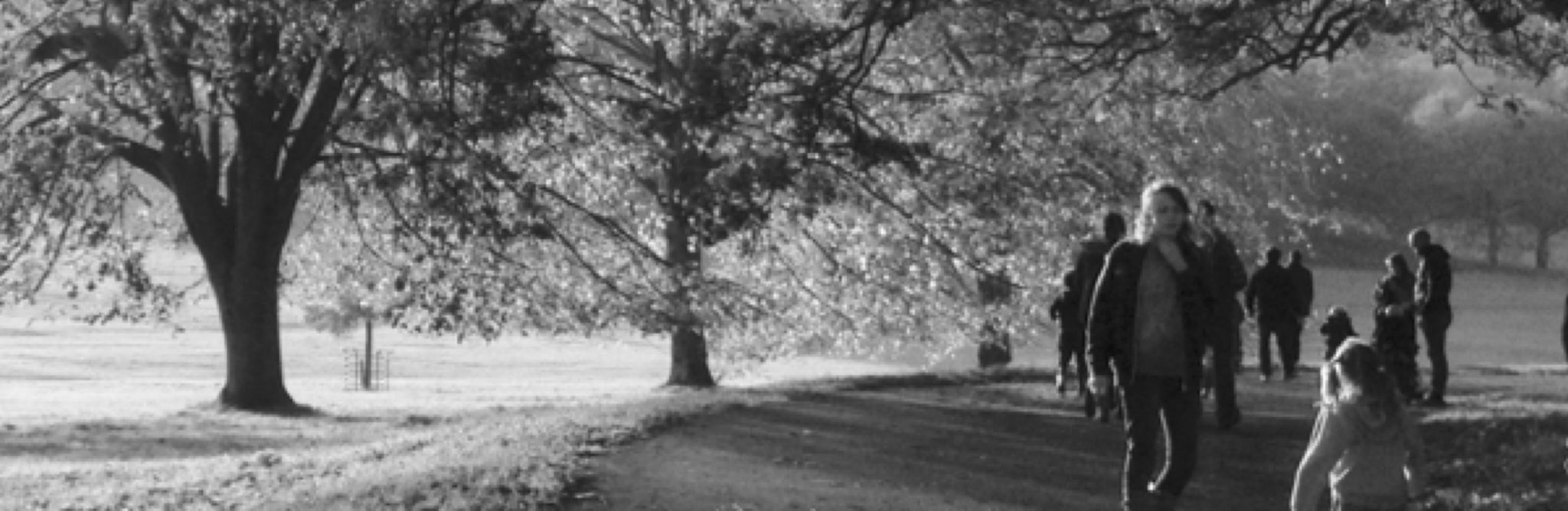 What are we trying to accomplish with biophilic cities? What are ambitious goals and targets, and measures of success?