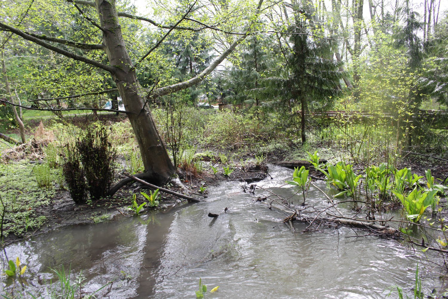 Map and Explore: Hidden Hydrology