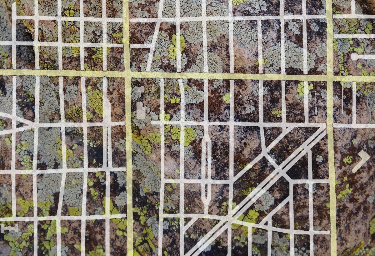Are cities ecosystems—analogous to natural ones—of nature, infrastructure and people? Does thinking about cities in this way help us think about urban design?