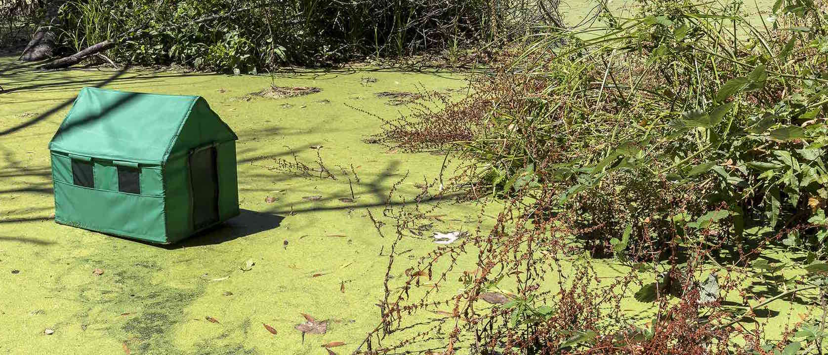 SALT: Restoration + Recreation = Water in California