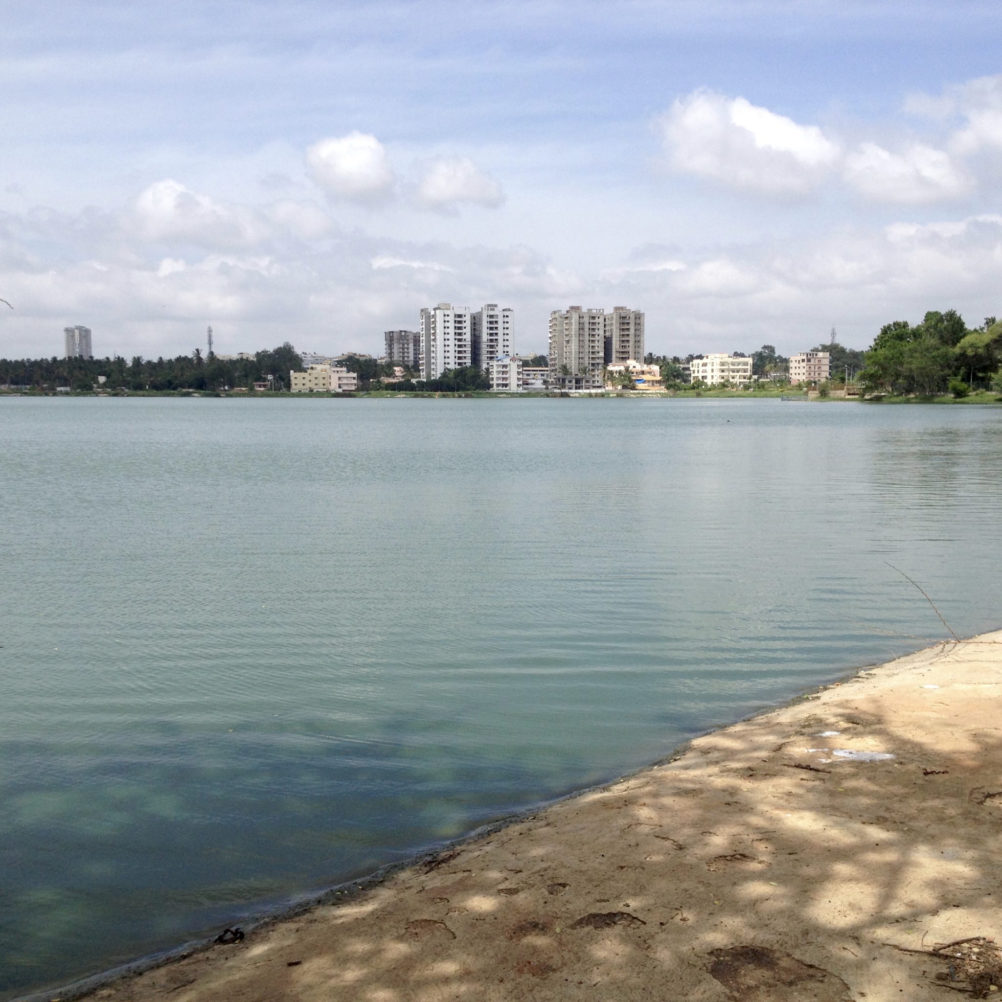Changing Green Cities from Myth to Reality