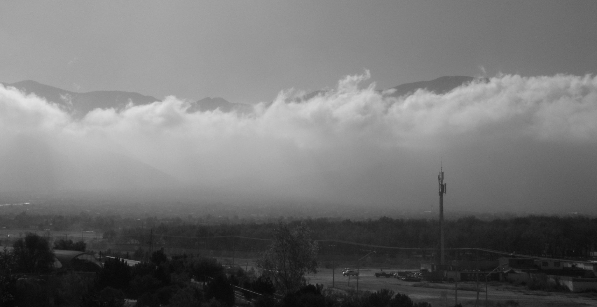 2046, year of our lady The Fog