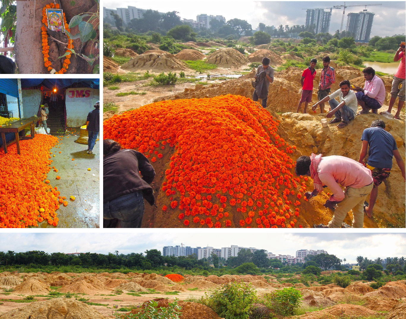 Bangalore Pile Study: Curiosity and Intervention in the Margins of a Megacity