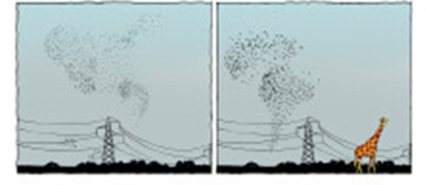 Nature after Nature and the Animal Internet