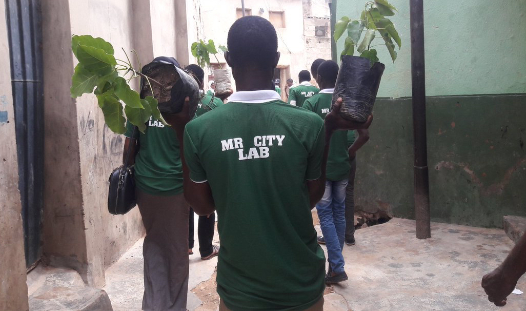 Restoring Indigenous Trees for Scaling Up City Resilience: The Role of African Millennials