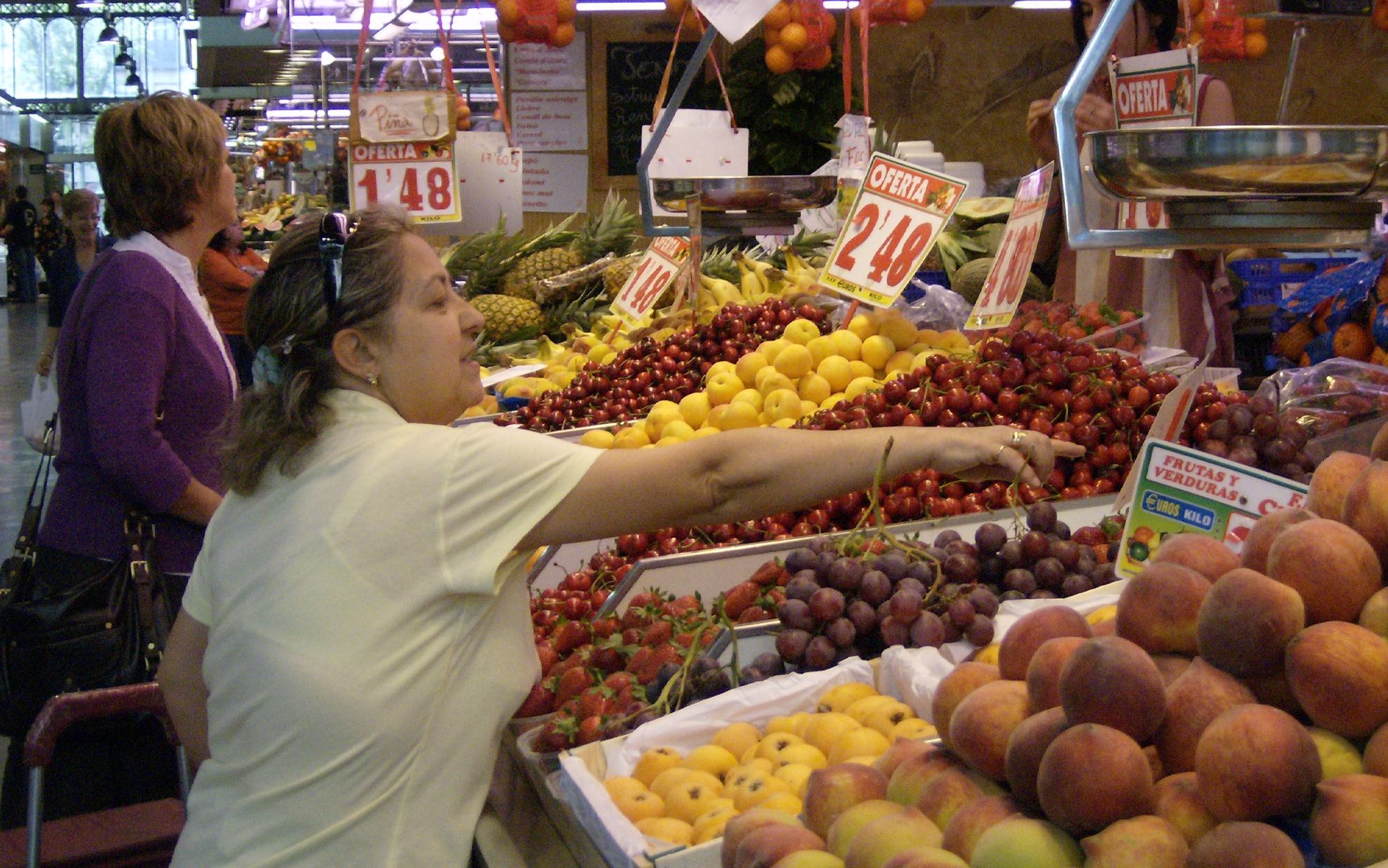 The Sustainability Challenge of Feeding Cities