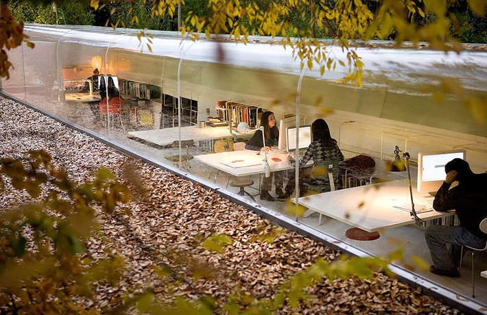 Biophilic Benefits or Bio-baloney? (Probably) the Former
