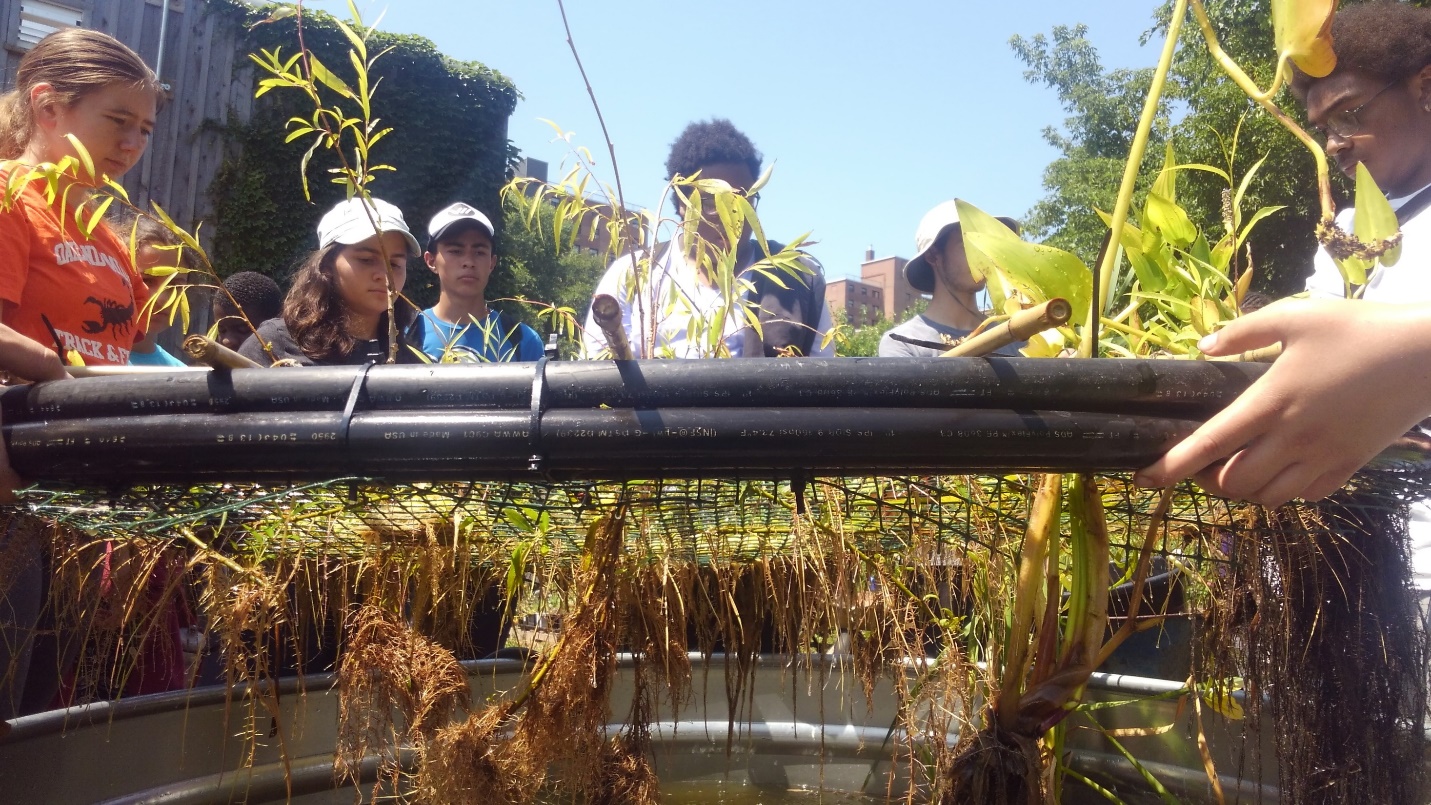 Sewage Eating Floating Islands: Operationalizing “Urban Ecosystem Justice”