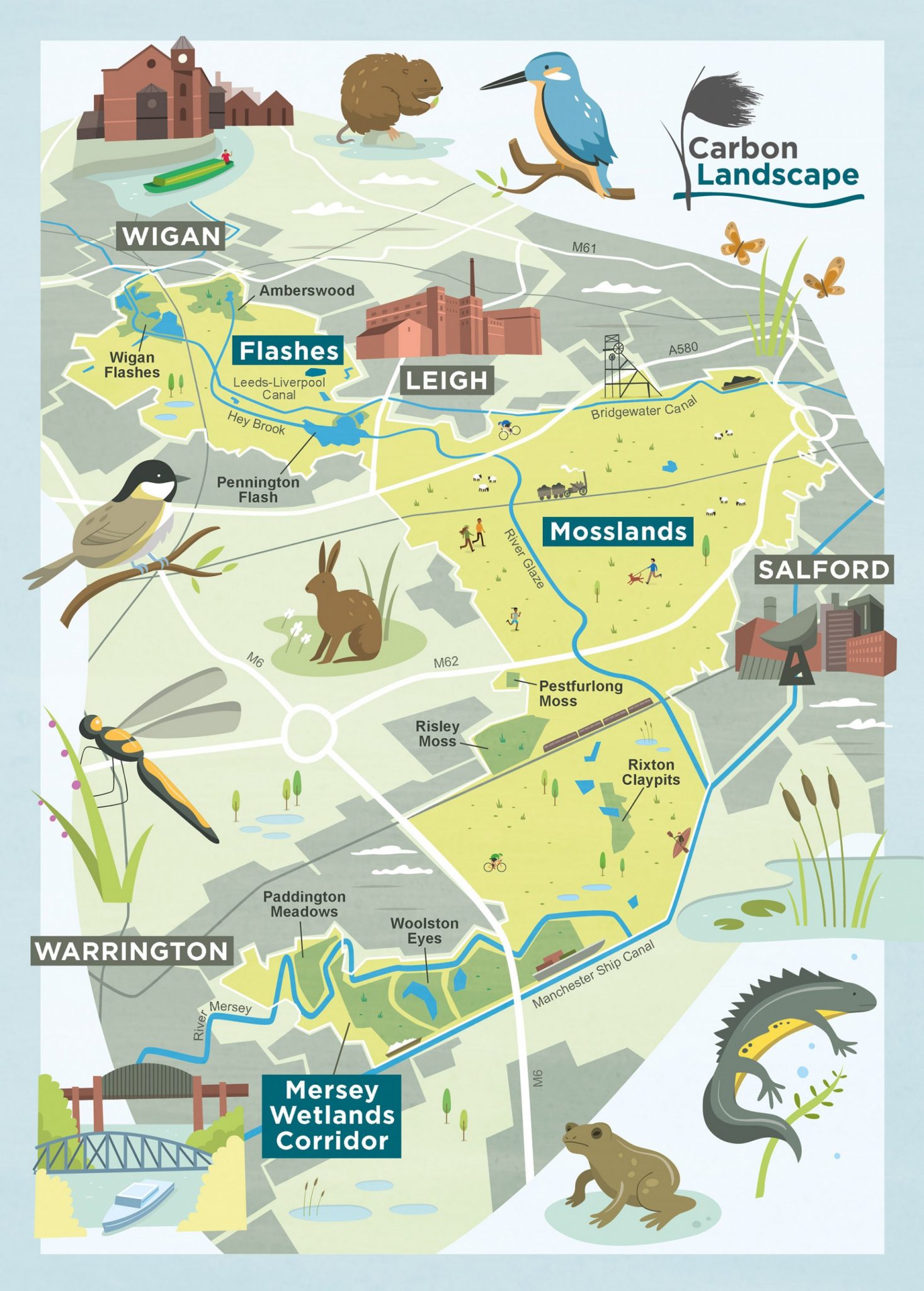 Nature Rebounding in the Peri-Urban Landscapes that the Industrial Revolution Left Behind: North West England’s Carbon Landscape