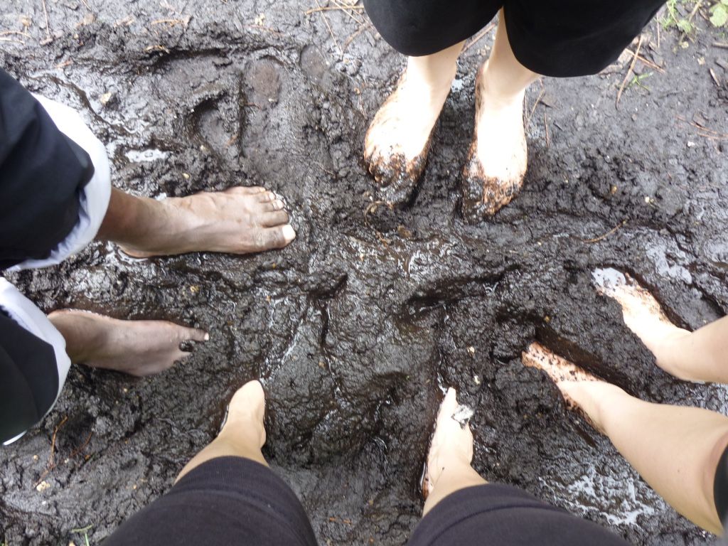 The Planet’s Gift to Humans: Soil Uncovered