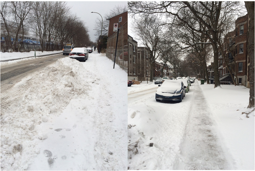 The Winter City: Ecologies of Snow, Ice and Cold