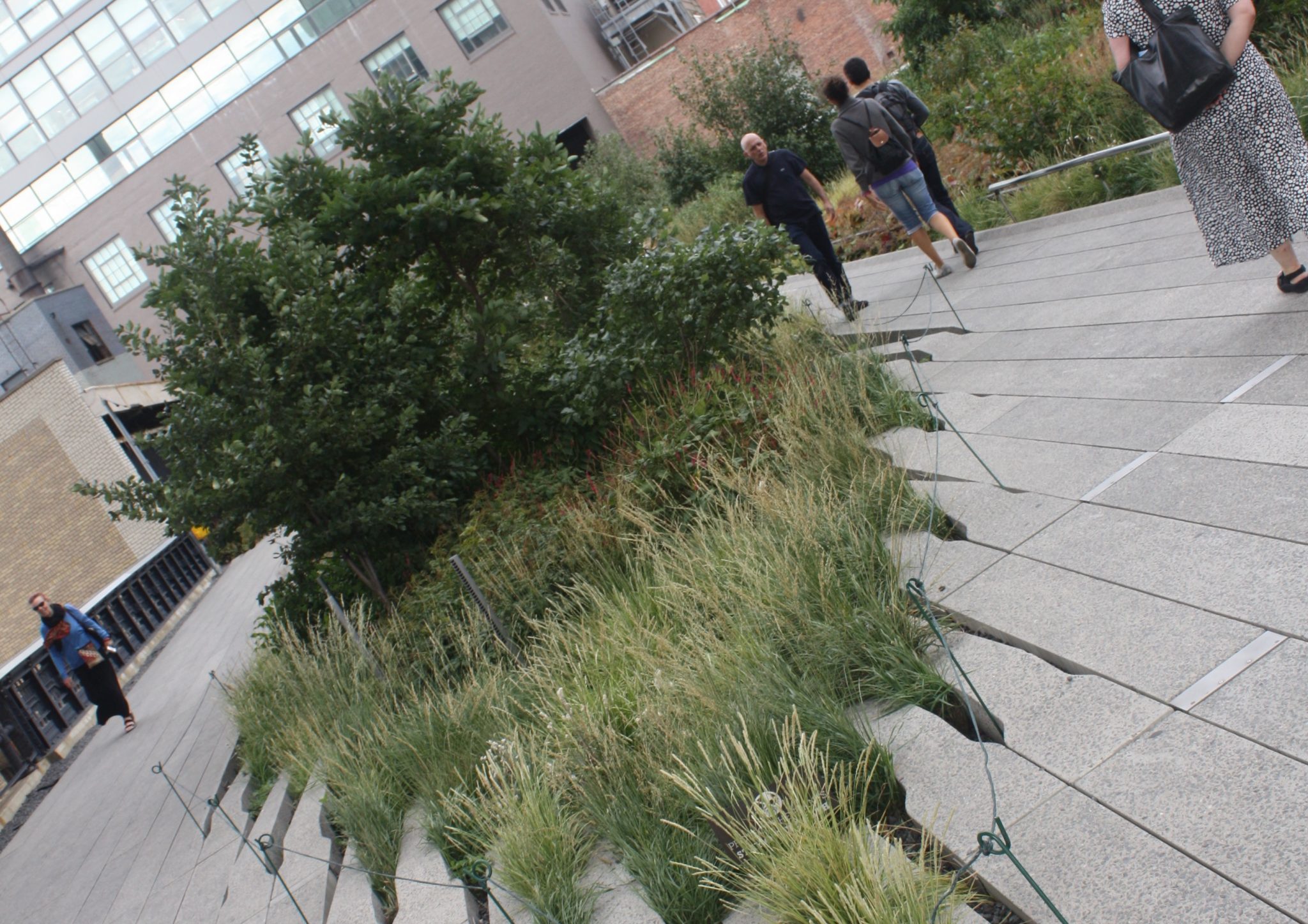 What is one thing every ecologist should know about urban ecology?