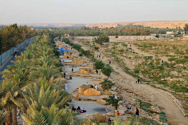 Rethinking Cities in Arid Environments for the 21st Century