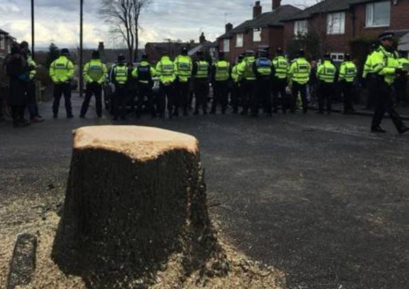 The Sheffield Street Tree Massacre: Notes from a Public-Private Partnership Gone Wrong