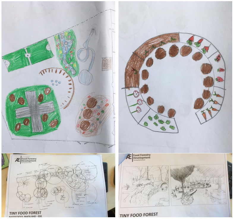 From Wet Feet to a Tiny Food Forest—How These 4th Graders Transformed Their Schoolyard into a Tiny Food Forest
