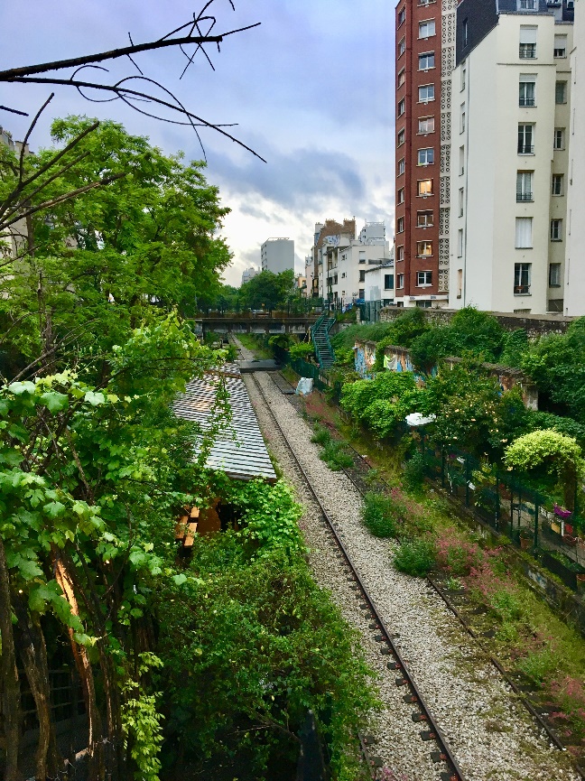 From City of Light to Ville Verte: How a Comprehensive Approach to Climate Change Adaptation is Making Paris the World’s Green Innovator