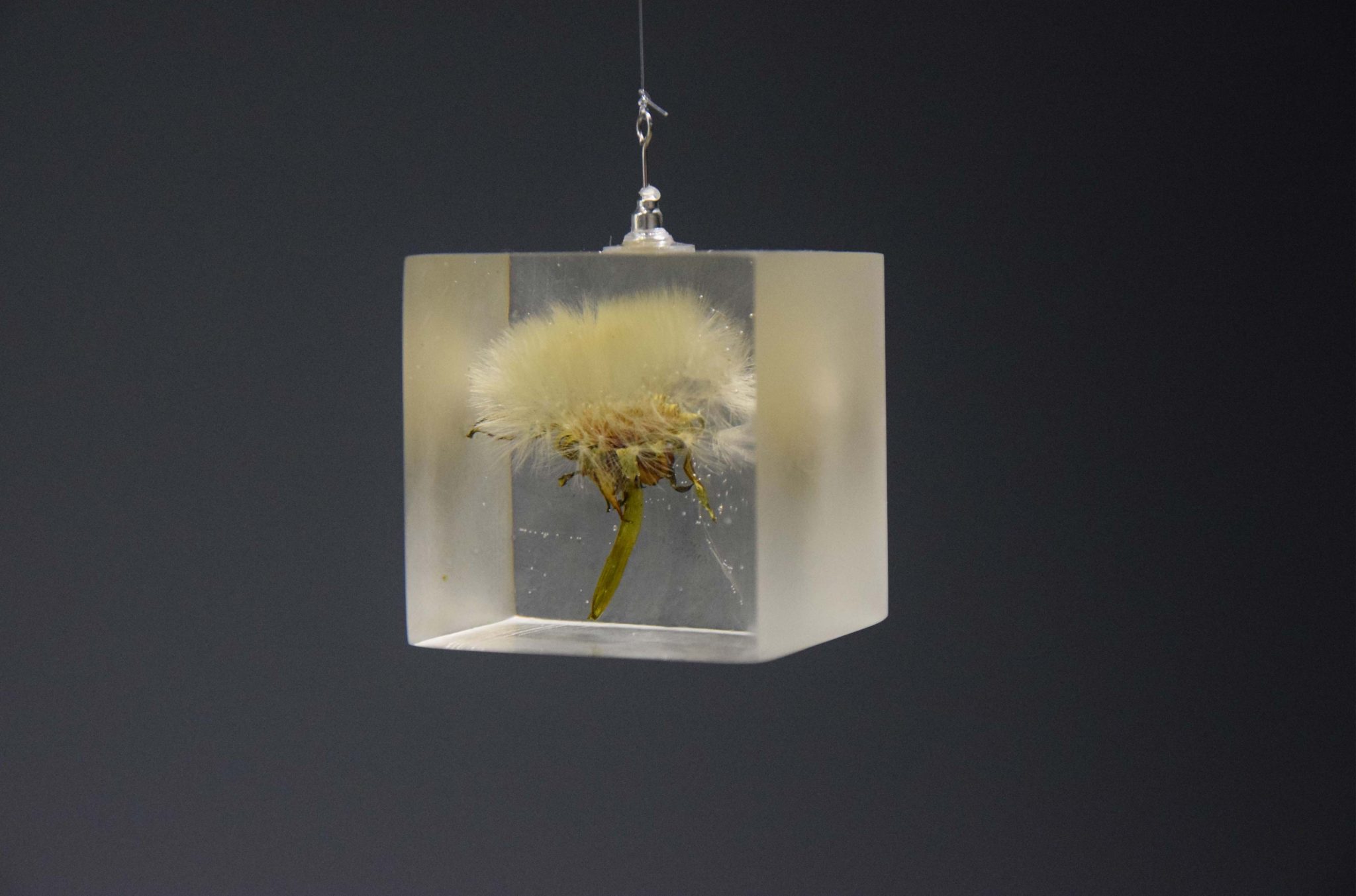Can Artistic Knowledge Bring Us Closer to Encountering the Co-influence of all Living Organisms?