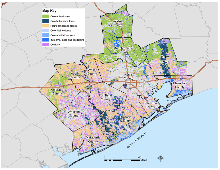 How Much Nature in Cities Should Be Set Aside?