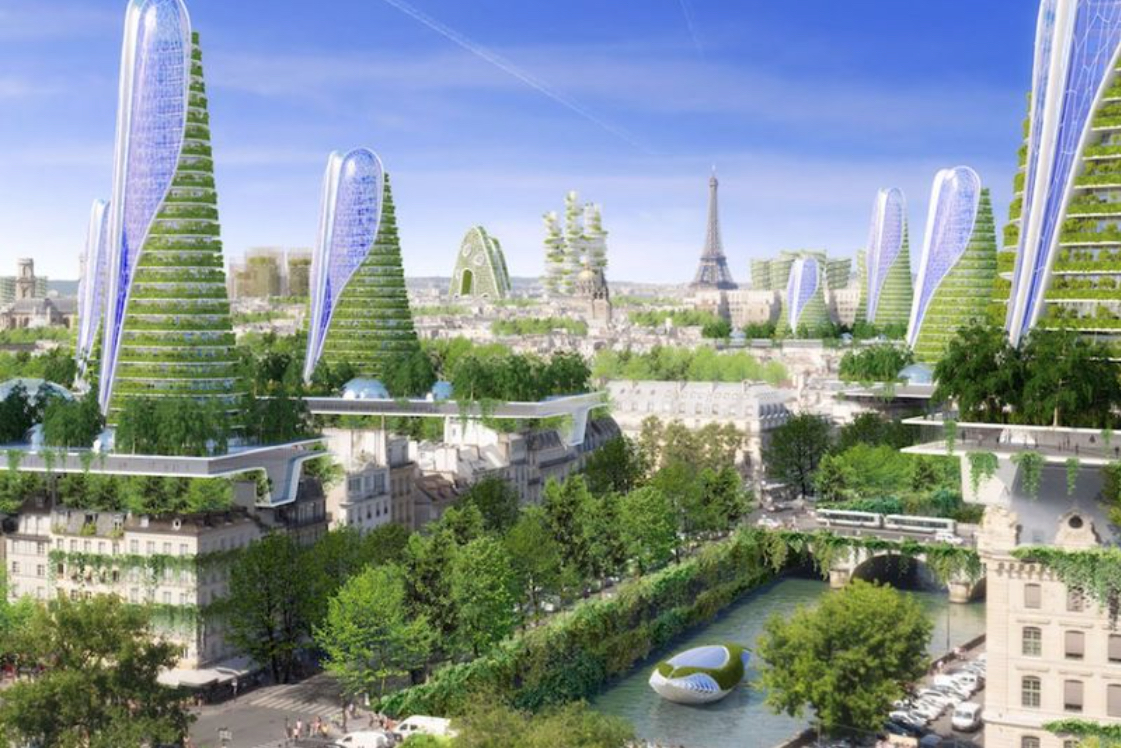 Highlights from The Nature of Cities in 2019