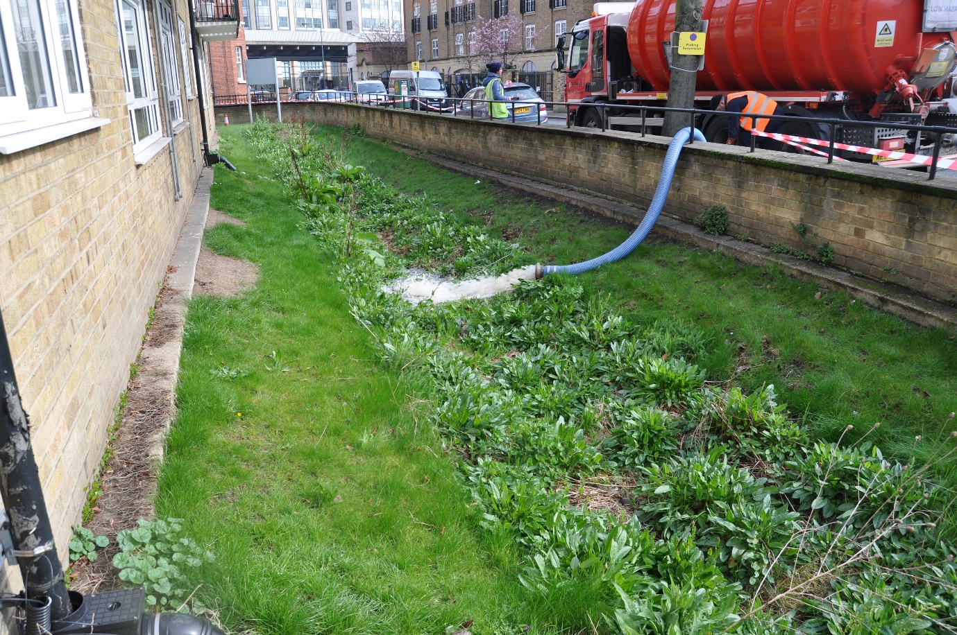 A Storm in a Bioswale: Breaking Down Barriers to Nature-Based Solutions