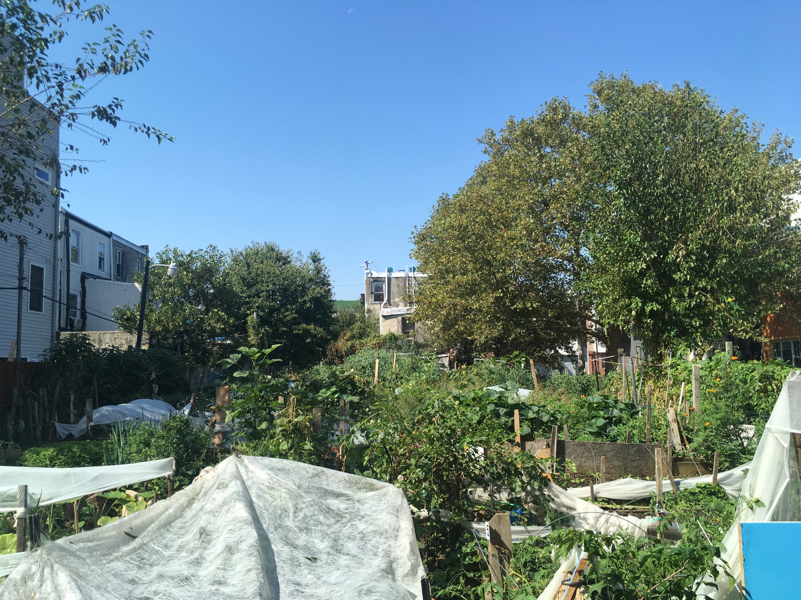 What the Garden Belongs To: Sensorial Listening in Urban Space