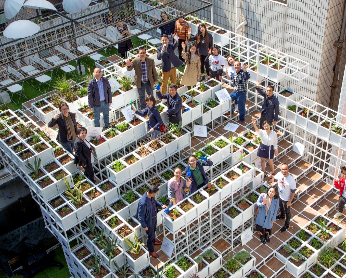 The Green Cloud, A Rooftop Story from Shenzhen: A “Living” Sponge Space Inside an Urban Village