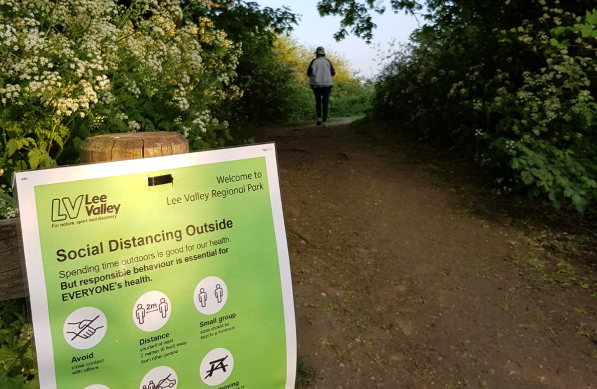 How is COVID-19 affecting caring for and researching urban ecology?