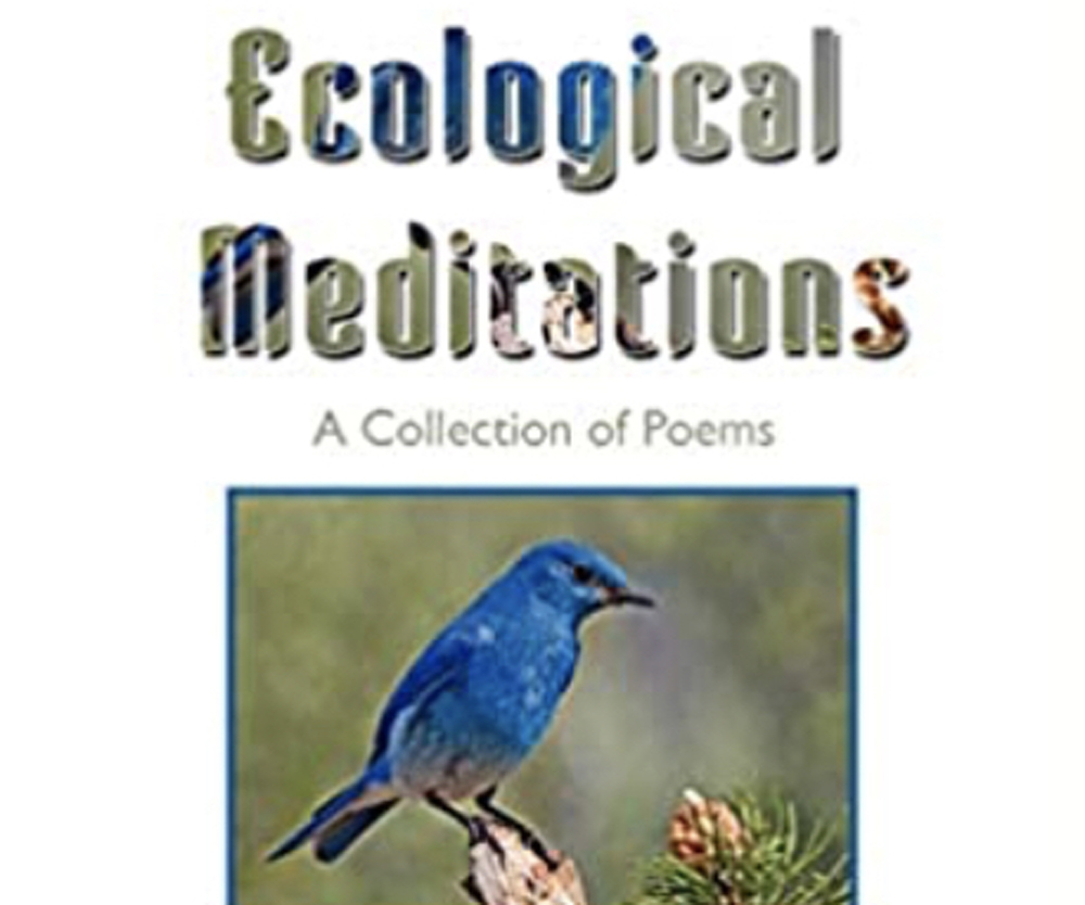 My Past, Present, and Future: A Review of Ecological Mediations