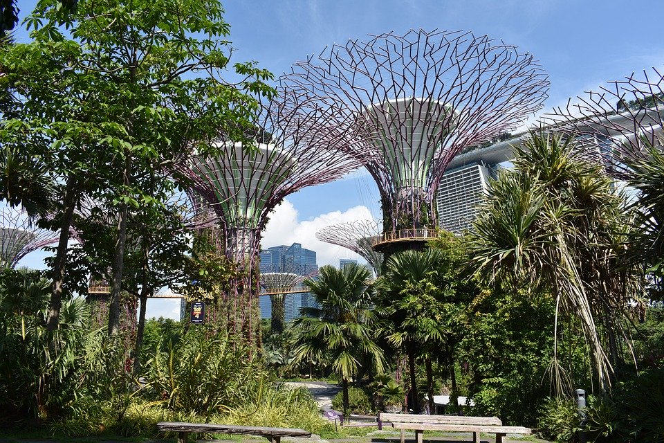 The Place of Nature in Cities: Taking Inspiration from Singapore