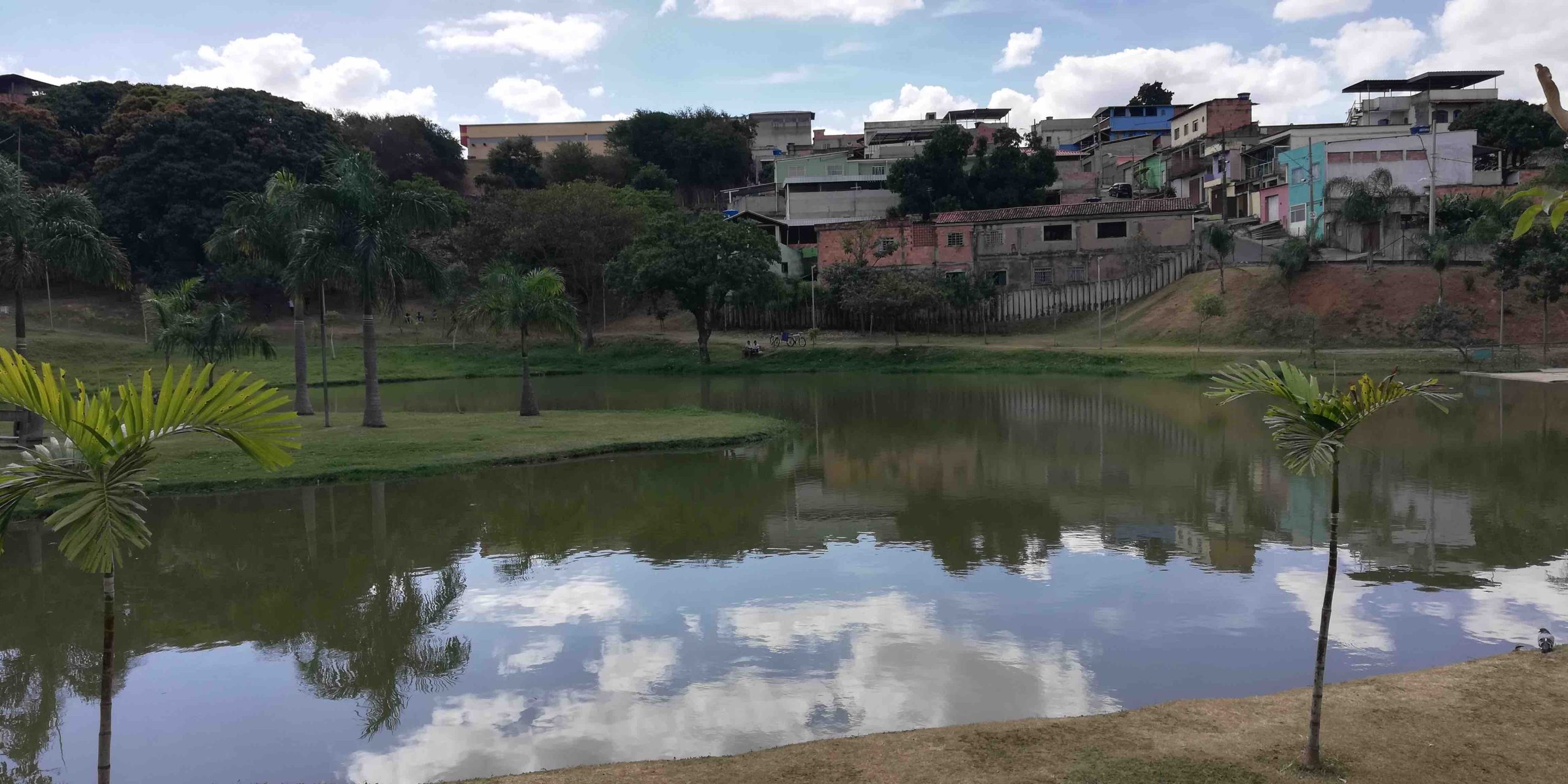 The Challenges for Innovating in Green and Blue Infrastructure: The Case of an Innovative Drainage Approach in Belo Horizonte, Brazil