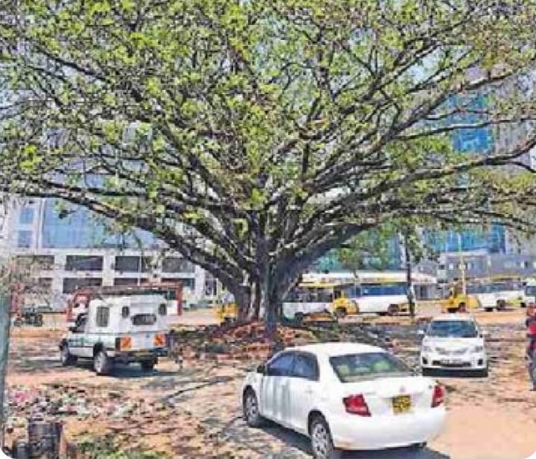 Nairobi’s Rapidly Expanding Transport Network is Costing its Ecological Lifeline
