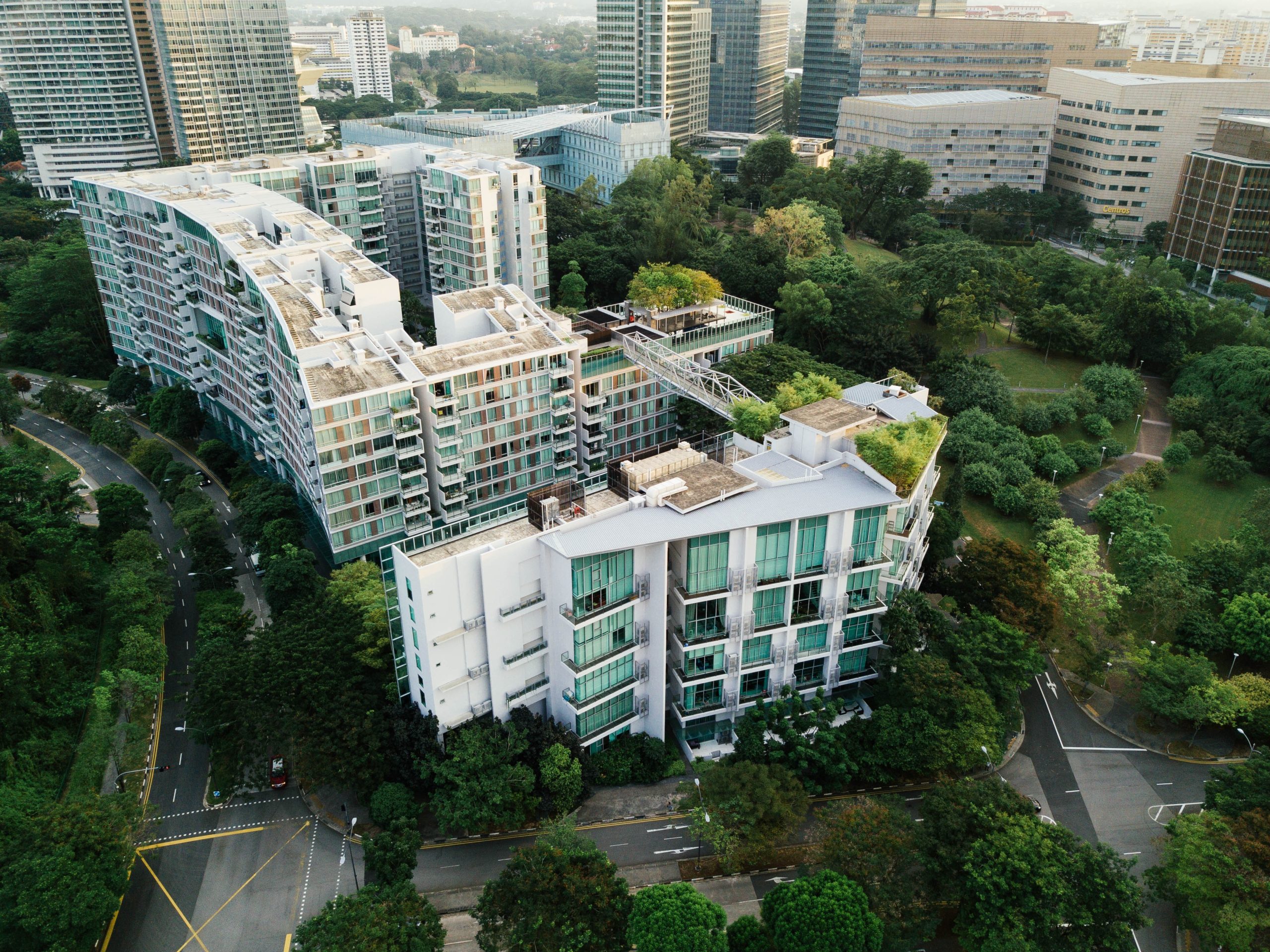 What Can Policymakers Do to Enhance Nature-based Solutions for Sustainable Cities?
