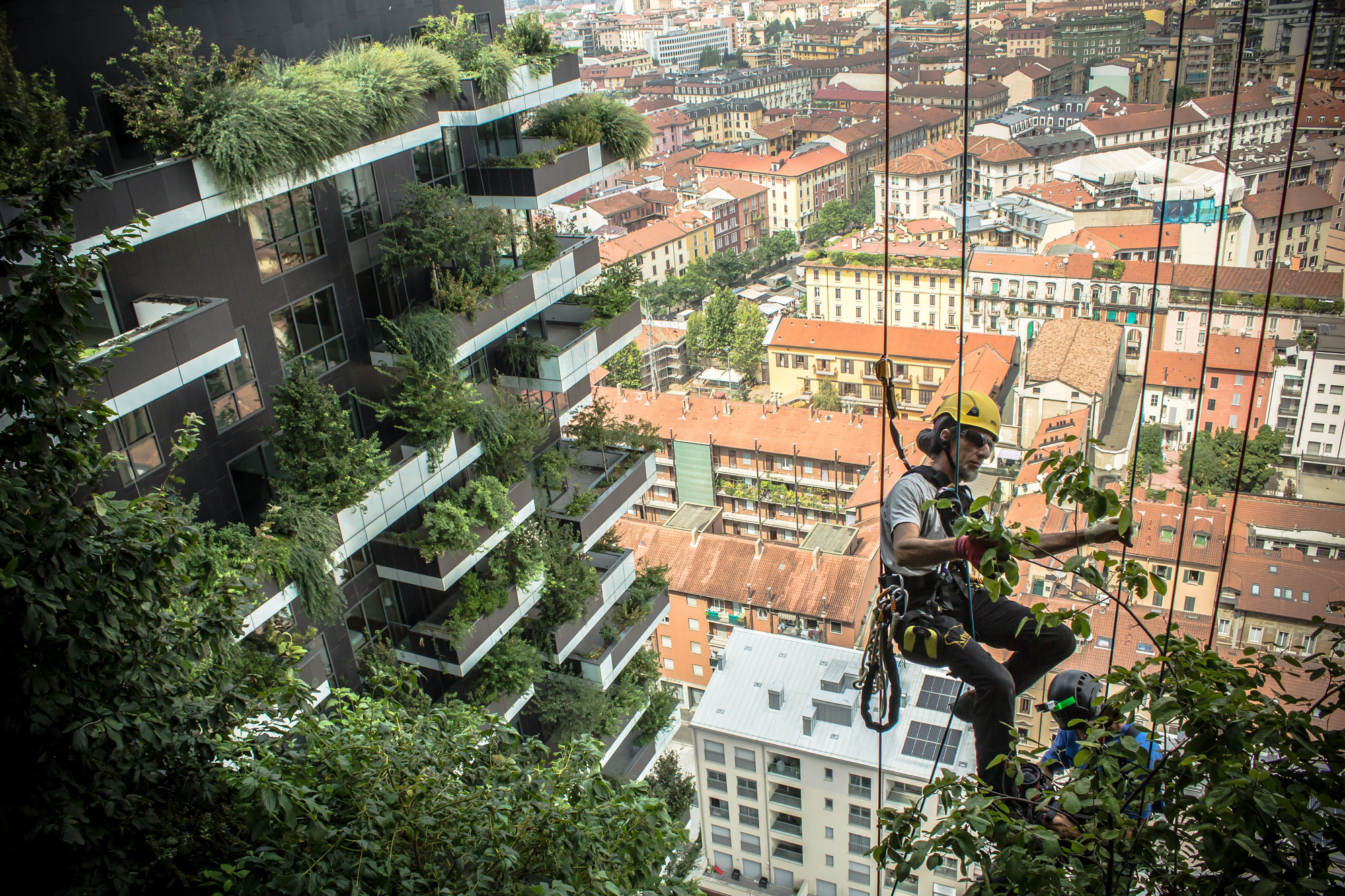 Vegetation is the Future of Architecture