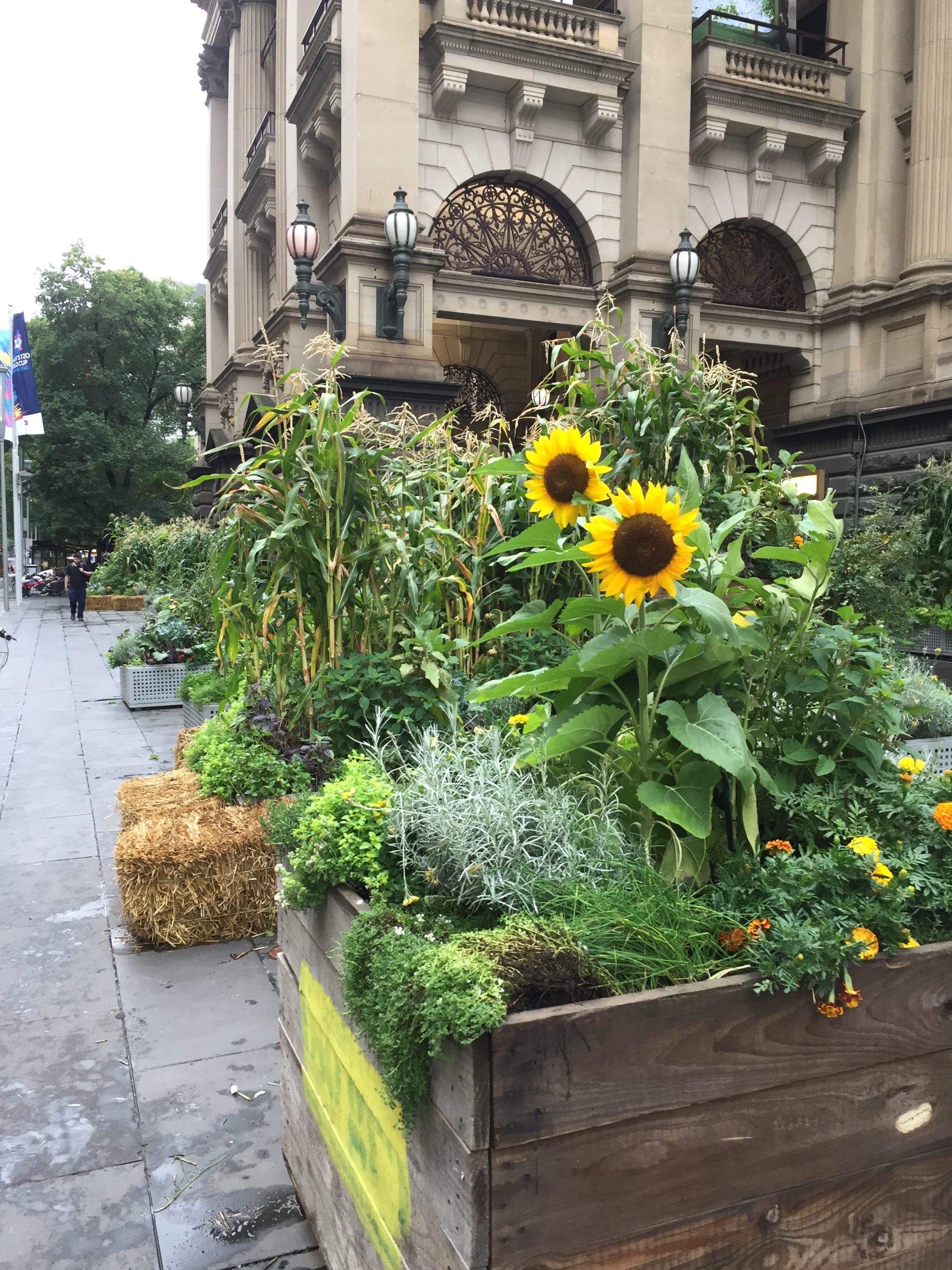 Putting Nature First: Driving Actions for Nature in Cities