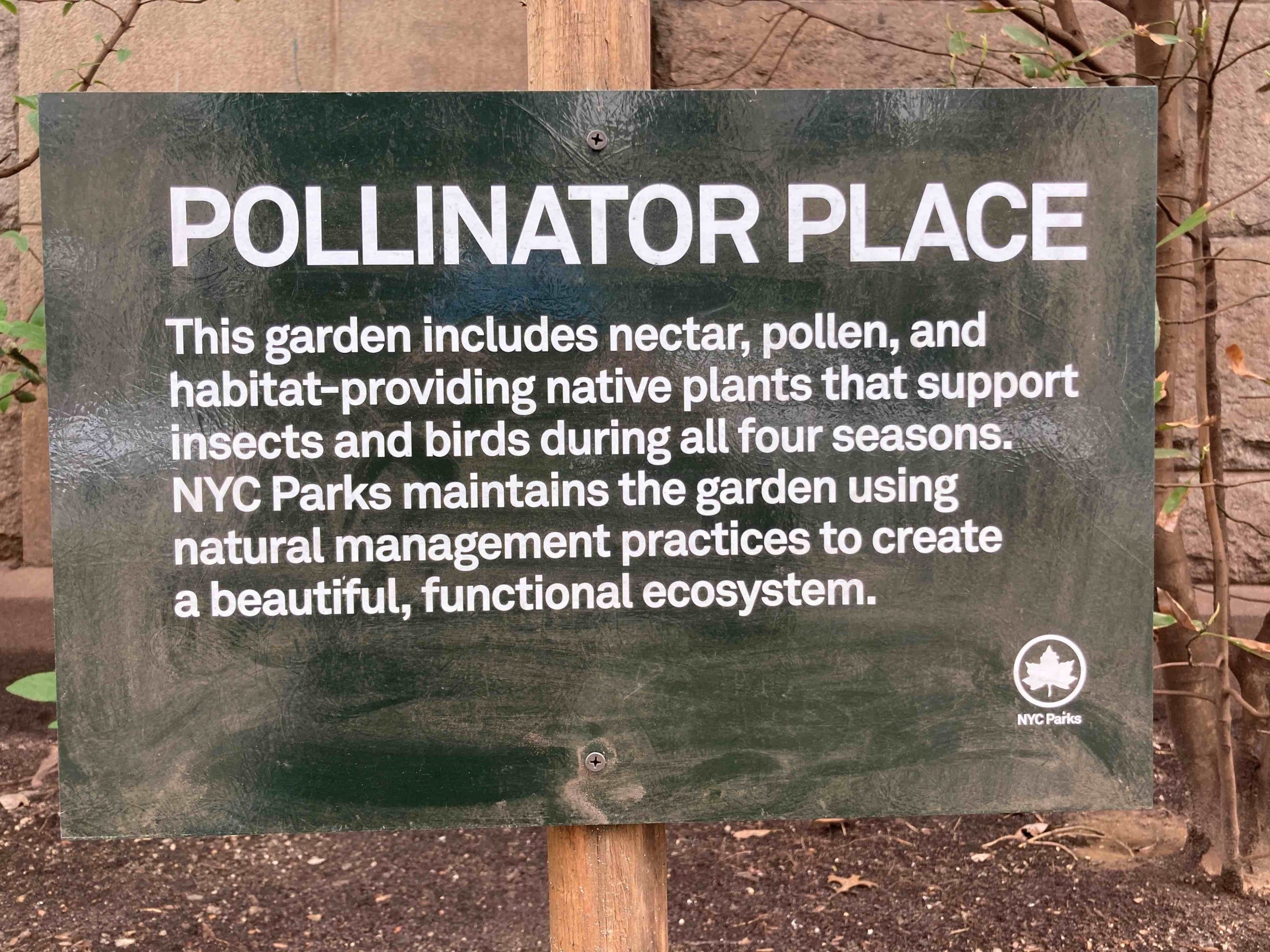 What actions are successful in activating cities to implement urban biodiversity conservation policies, campaigns, and projects?