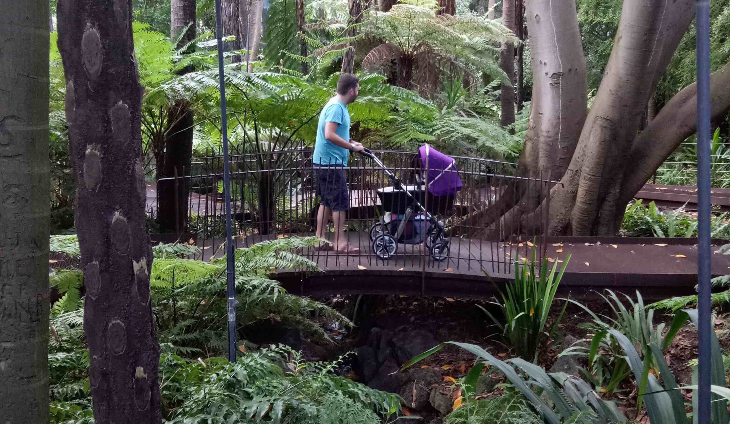 Nature Fix for Healthy Cities: What Planners and Designers Need to Know for Planning Urban Nature with Health-benefits in Mind