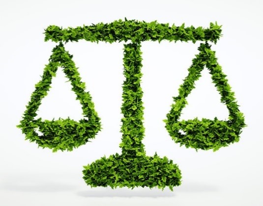 This Changes Everything: New York’s Environmental Amendment