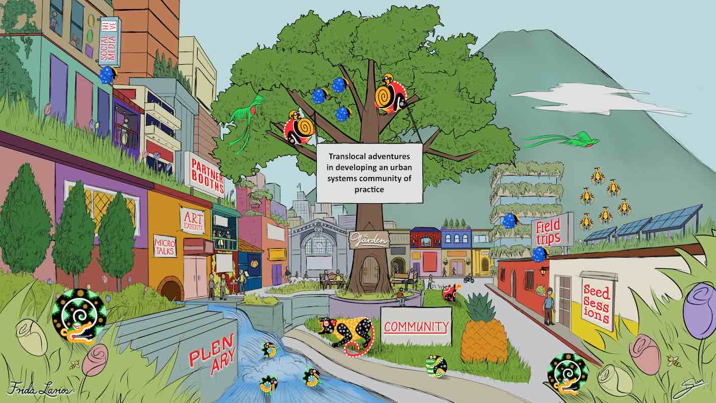 Translocal Adventures, Communities of Practice, and the TNOC Festival