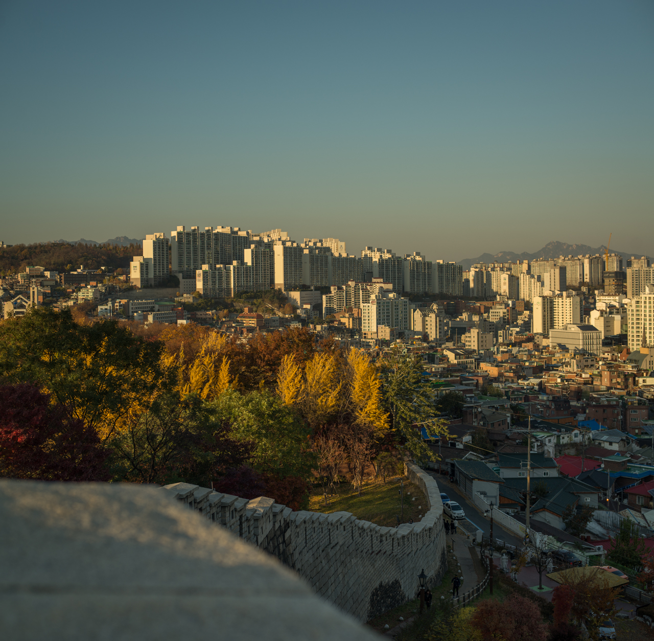 Photo Essay: Seoul and the Call of the Urban Wild
