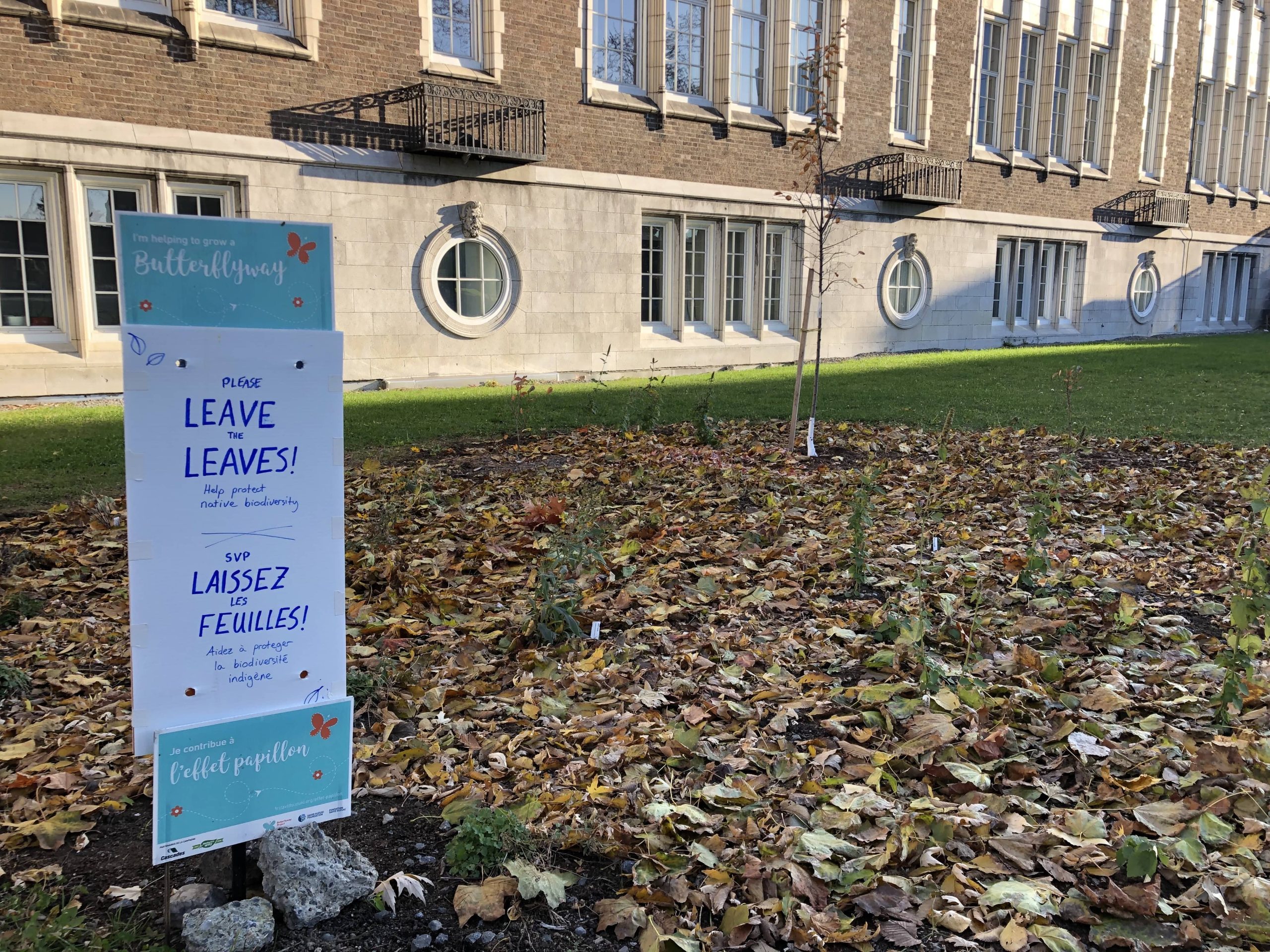 Blowing in the Wind: Leaf Blower Disservices for Human and Ecosystem Health in the City