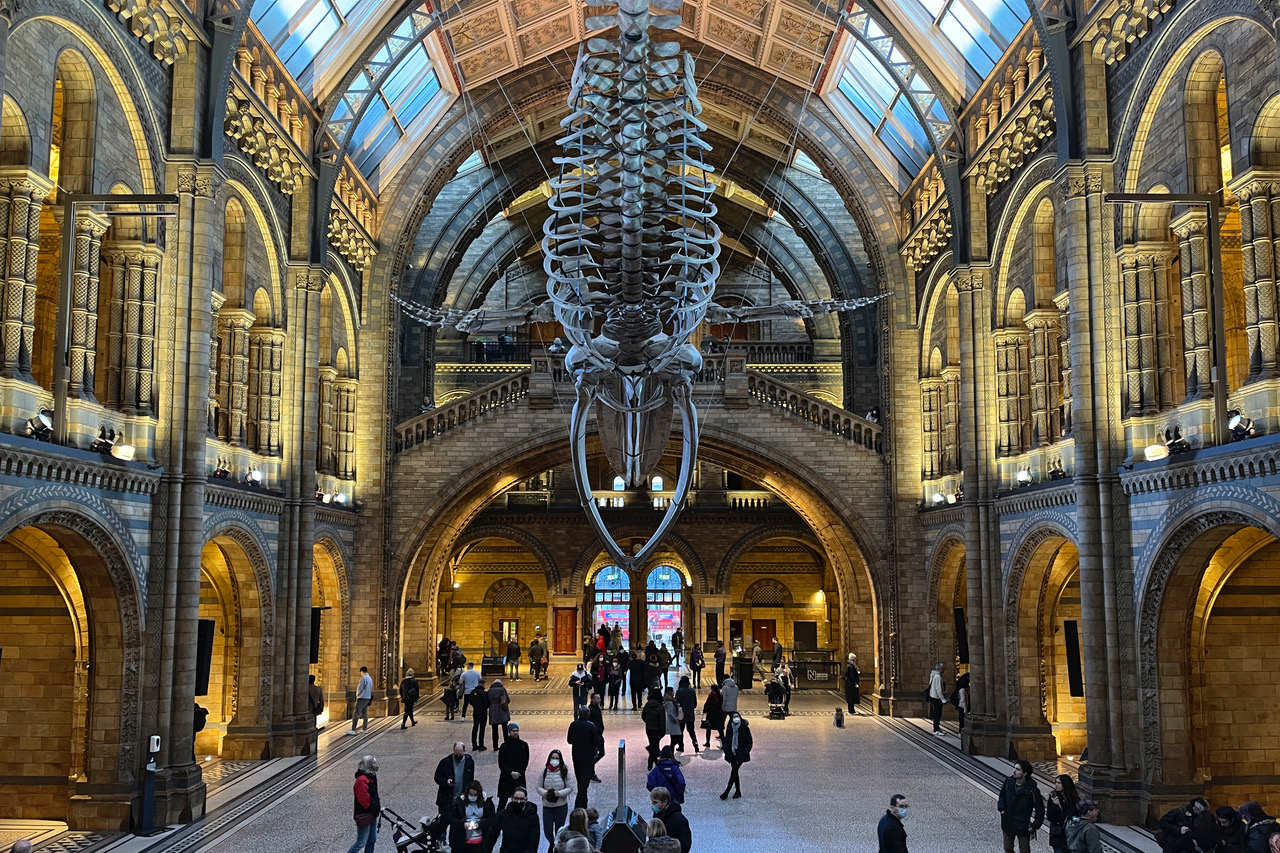 Charles Darwin and the Guy from Upstairs: A visit to the Natural History Museum