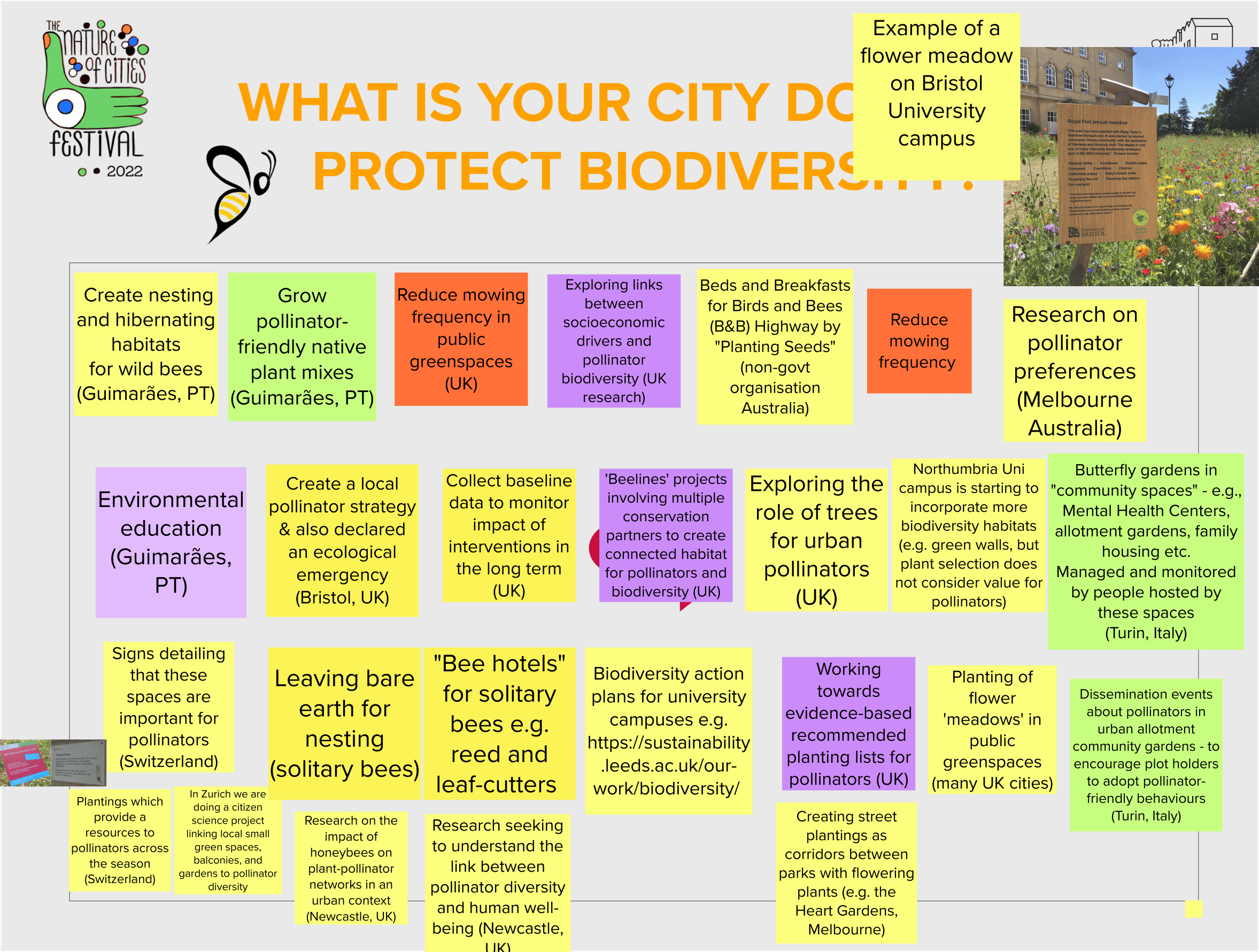 What Are the Cities Doing to Protect Pollinators and the Biodiversity?