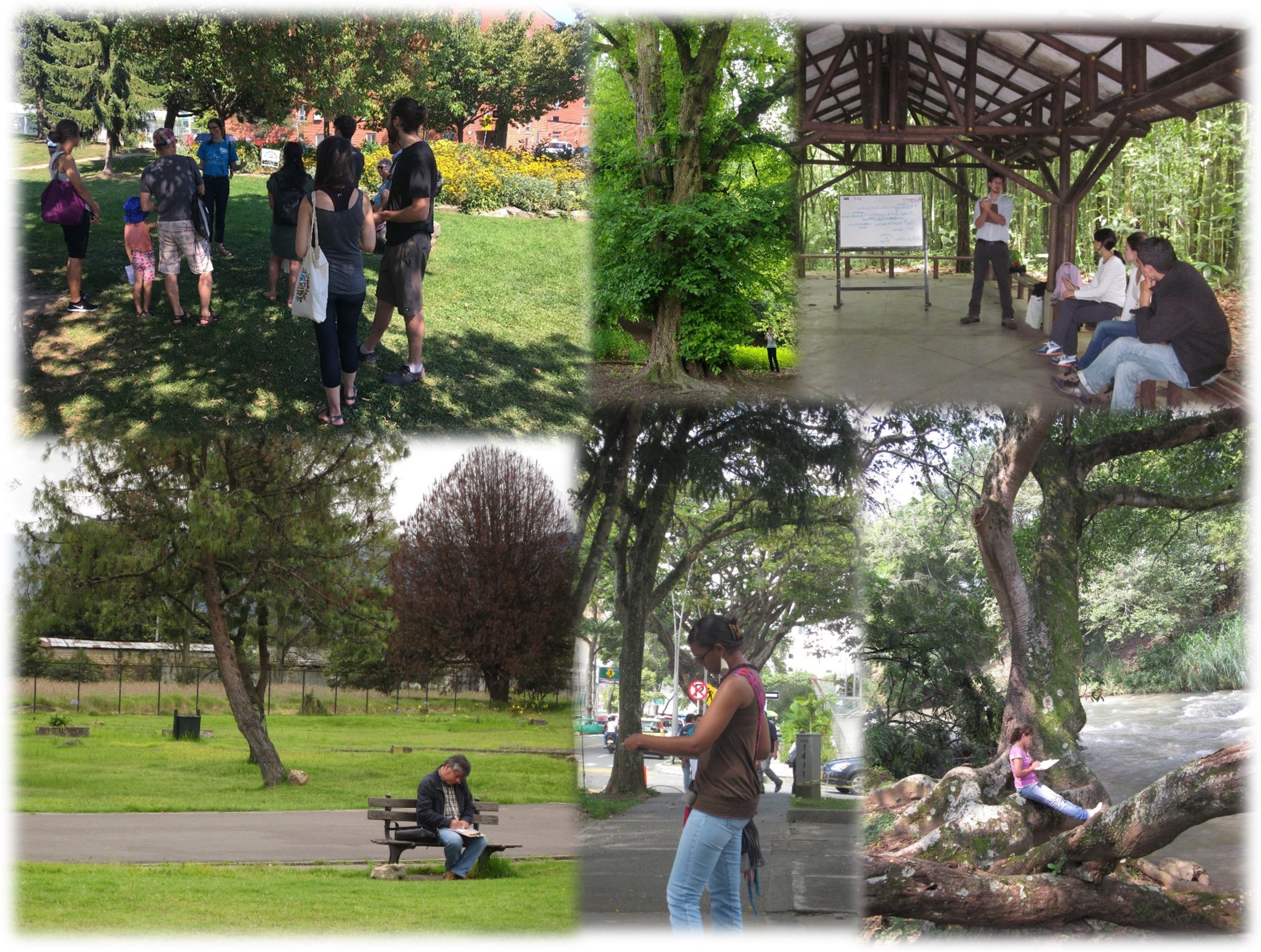Committing to Diversity in the Research on People’s Perceptions of Urban Nature