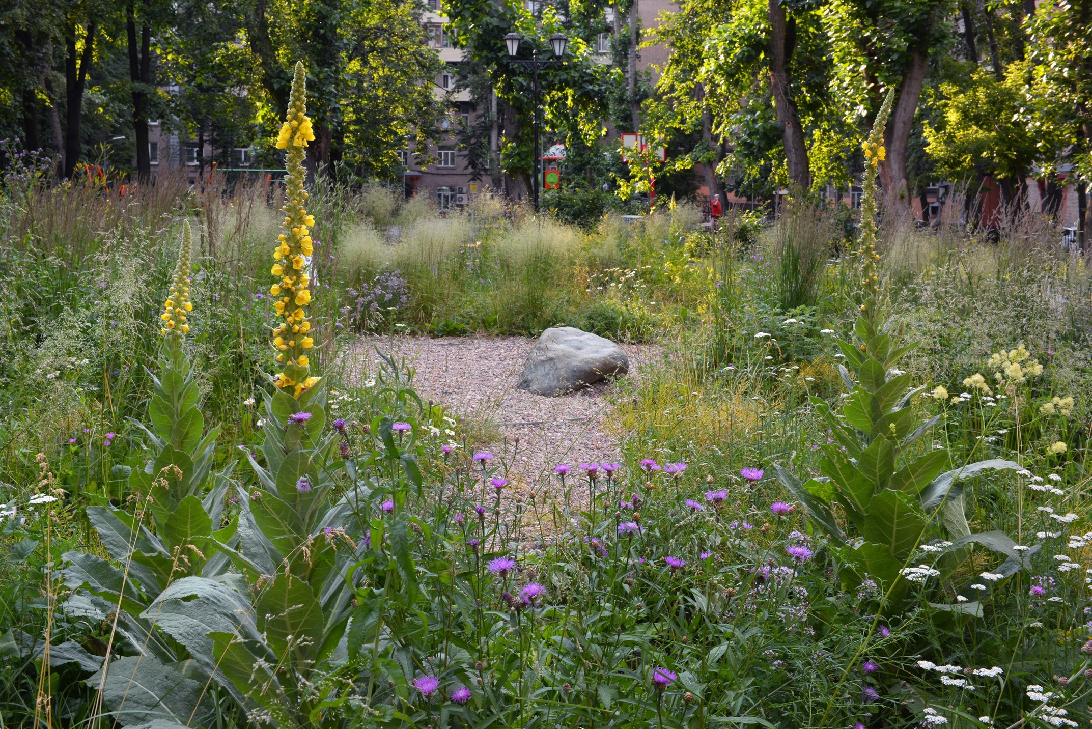 Natives in Exile—The Experience We Had Creating a Flower Garden Featuring Endemic Plant Species in the City