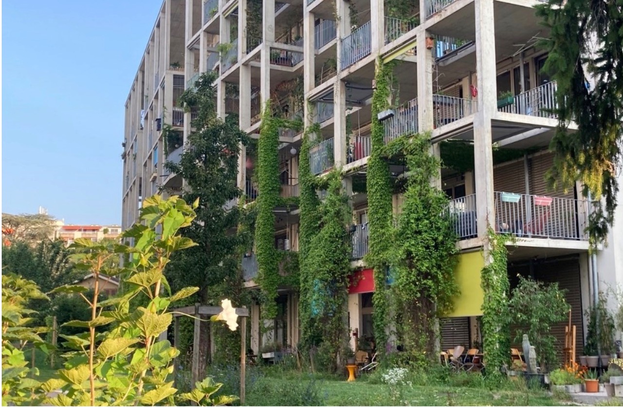 Greening Buildings and the Potential for More Biodiversity and Well-being in Switzerland